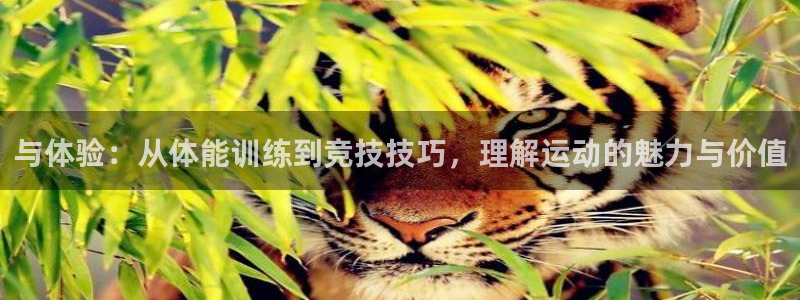 意昂股份：与体验：从体能训练到竞技技巧，理解运动的魅力与价值