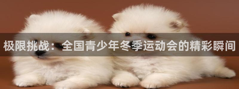 意昂2登录：极限挑战：全国青少年冬季运动会的精彩瞬间