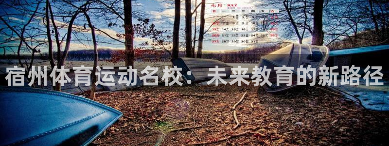 意昂2注册：宿州体育运动名校：未来教育的新路径