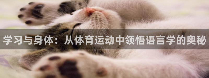 佛山市南海意昂机电仪器有限公司：学习与身体：从体育运动中领悟语言学的奥秘