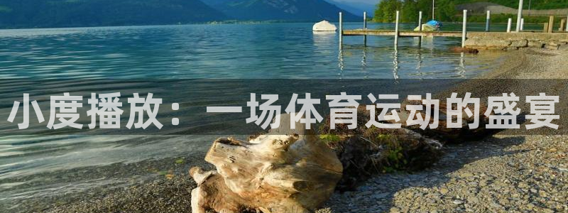 意昂：小度播放：一场体育运动的盛宴