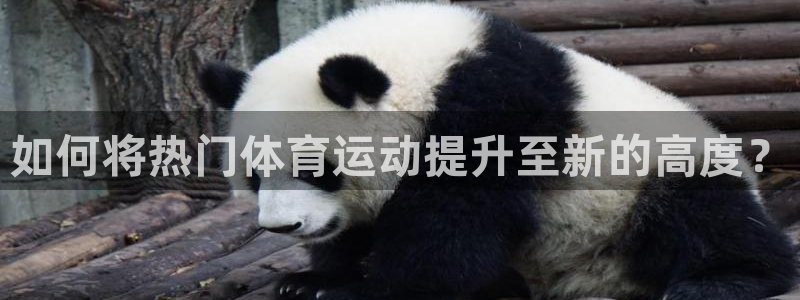 意昂5招商：如何将热门体育运动提升至新的高度？