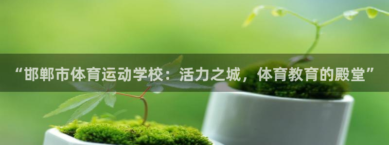 意昂2登录：“邯郸市体育运动学校：活力之城，体育教育的殿堂”