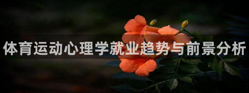 意昂平台注册入口：体育运动心理学就业趋势与前景分析