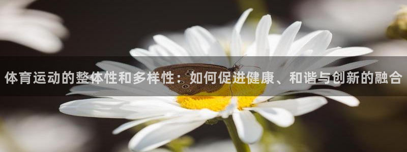 意昂零能源集团：体育运动的整体性和多样性：如何促进健康、和谐与创新的融合