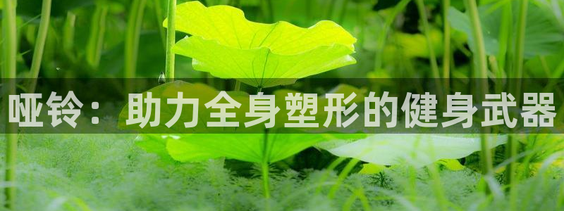 意昂体育1招商：哑铃：助力全身塑形的健身武器