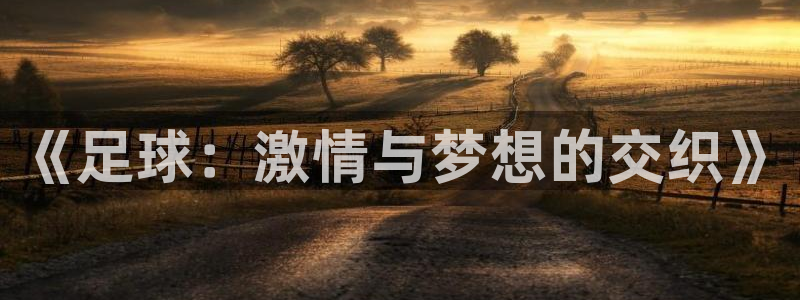意昂体育注册登录入口：《足球：激情与梦想的交织》