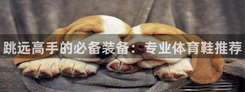 意昂体育官网：跳远高手的必备装备：专业体育鞋推荐