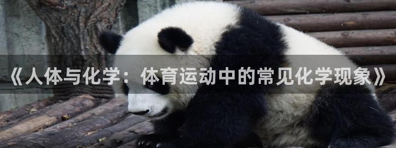 意昂2平台注册：《人体与化学：体育运动中的常见化学现象》