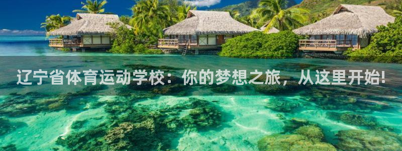 意昂体育注册平台：辽宁省体育运动学校：你的梦想之旅，从这里开始!