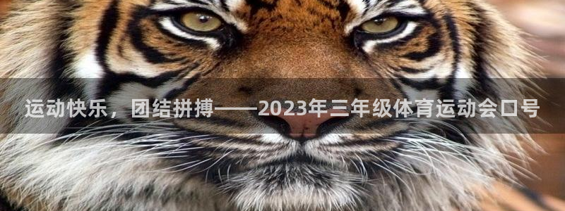 福建意昂机电股份公司：运动快乐，团结拼搏——2023年三年级体育运动会口号