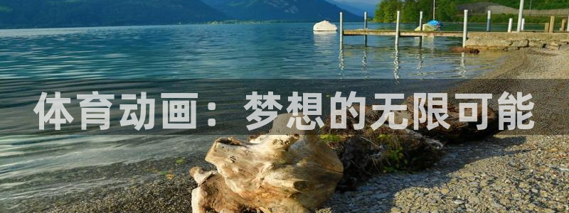 意昂注册：体育动画：梦想的无限可能